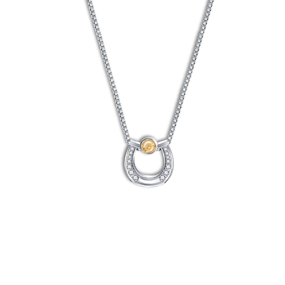Horseshoe Ashes Necklace with Crystals - Nicky Robin Memorial Jewellery
